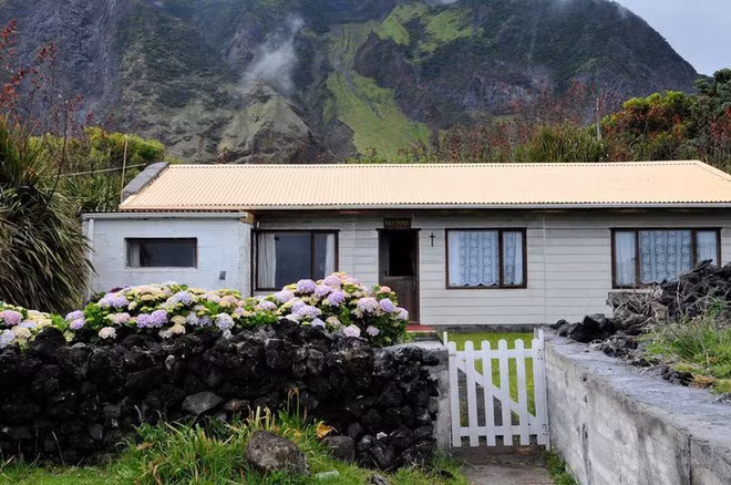 Tristan da Cunha được xem là khu bảo tồn thiên nhiên quan trọng của thế giới. Đây chính là nơi cư trú của 13 loài chim biển, 2 loài chim đặc hữu sống trên đất liền. Nhiều động vật biển như hải cẩu, cá voi, cá heo…được tìm thấy xung quanh đảo. Chim cánh cụt đá và hải âu là những loài động vật đặc trưng trên biển.