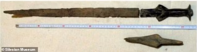 Nhờ vậy, ông Novák tìm thấy một thanh kiếm cổ có niên đại 3.300 năm tuổi. Không những thế, ông còn đào được một chiếc rìu bằng đồng có cùng niên đại ở khu vực gần đó.