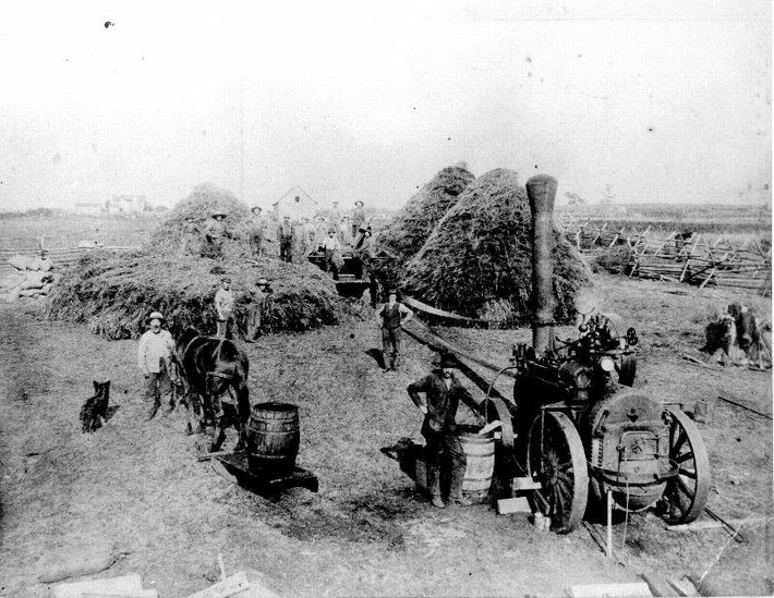 Mối quan hệ giữa Mỹ và Anh trở nên căng thẳng vào ngày 22/6/1859. Khi ấy, người nông dân Mỹ tên Lyman Cutlar phát hiện một con lợn đi lạc vào trang trại phá hoại khu vực trồng khoai tây của gia đình. Trong lúc tức giận, Cutlar dùng súng bắn chết con lợn.