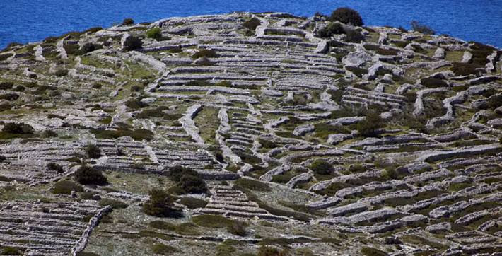 Đảo Bavljenac thuộc vùng biển Adriatic và là một trong 249 hòn đảo thuộc quần đảo Sibenik. Hòn đảo có diện tích 0,14 km2 và hiện không có người ở.