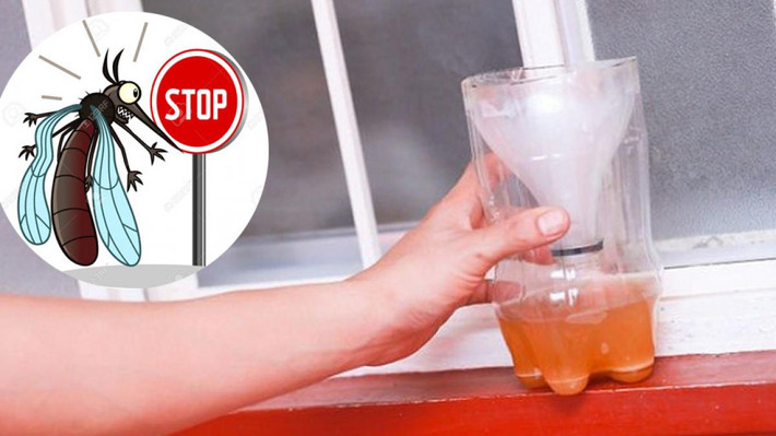 Cho 5 - 10ml bia hoặc nước đường vào chai rồi lắc thật mạnh sau đó để ở những nơi nhiều muỗi sẽ làm lũ muỗi sợ và bỏ đi. 