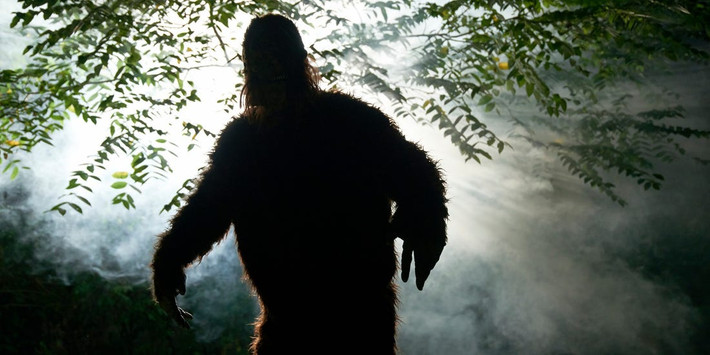 Trong nhiều thập kỷ qua, quái vật Bigfoot (chân to) còn gọi là Sasquatch trở thành tâm điểm thu hút sự chú ý của dư luận cũng như giới truyền thông. Nguyên do là bởi sinh vật bí ẩn này thường xuất hiện đột ngột và mãi không bị "tóm".