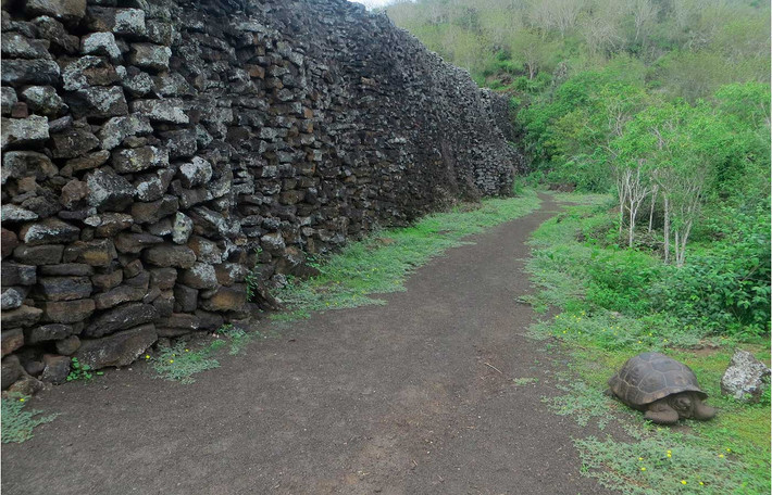 Hàng ngày, tù nhân phải đi bộ quãng đường rất xa để đến mỏ đá. Tại đây, họ làm công việc cắt đá từ núi lửa và mang trở lại địa điểm xây dựng bức tường.