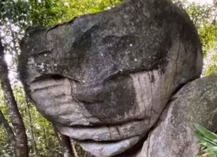 Kể từ khi được phát hiện, tảng đá trông giống người ngoài hành tinh tại trang trại của ông Miguel thu hút hàng ngàn người ghé thăm. Vào năm 2021, Sở du lịch và môi trường São Luiz. Brazil công nhận tảng đá là Cảnh quan thiên nhiên.