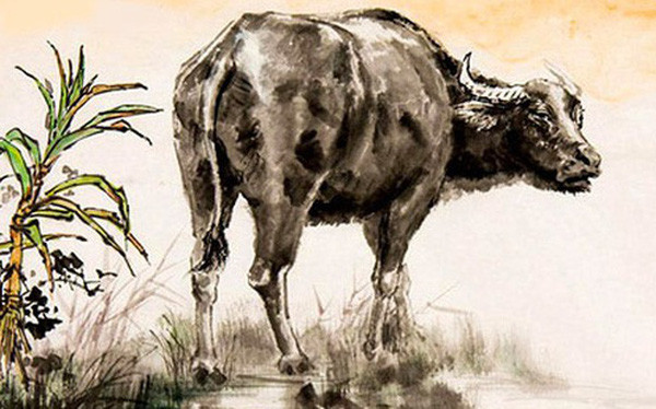 Theo dự đoán cho 12 con giáp, vận thế của người tuổi Sửu ngày 21/3/2025 hạnh phúc. Tình cảm: Tuổi Sửu và đối phương đều có cảm tình với nhau nhưng chưa dám thổ lộ. Công việc: Người tuổi Sửu hạnh phúc khi được làm việc yêu thích. Tiền bạc: Con giáp này giữ thói quen chi tiêu ổn định.