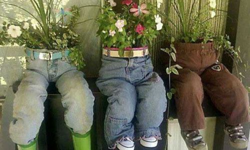 Với những chiếc quần bò cũ, bạn cũng có thể chế ra những chậu trồng cây xanh ngắt để trang trí vườn.