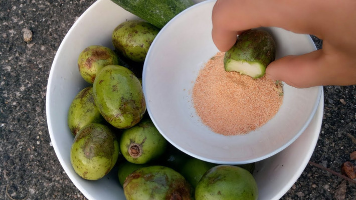 Tuổi thơ 8X, 9X gắn với trái cây quanh vườn như mơ, xoài, ổi, cóc... khi đó chỉ cần có một gói bột canh chua cay nhỏ trong gói mì tôm Hảo Hảo cực kỳ quý. Ảnh: Internet.