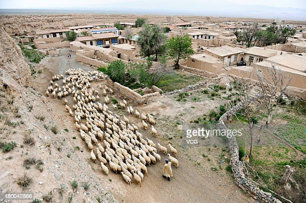 Trải qua năm tháng và sự tác động của các yếu tố thời tiết, các bức tường cổ bị bong tróc, thậm chí có một số vết nứt.