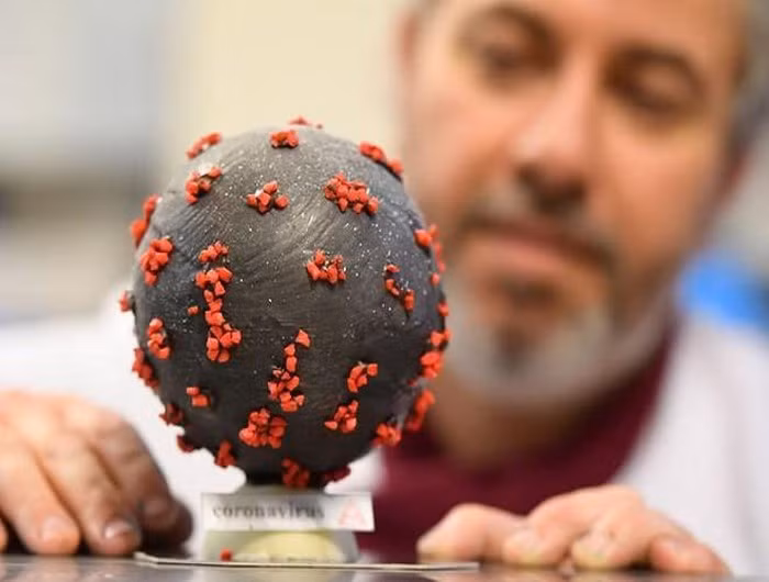 Những chiếc bánh độc đáo này được mô phỏng theo hình dạng của virus SARS-CoV-2, vỏ bánh được phủ một lớp chocolate sữa và đính kém những hạt hạnh nhân màu đỏ.