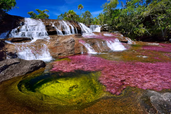 Do nằm ở khu vực hẻo lánh nên dòng sông Cano Cristales giữ được vẻ đẹp nguyên sơ và thơ mộng do thiên nhiên ban tặng. Thời điểm lý tưởng nhất để chiêm ngưỡng vẻ đẹp tuyệt mỹ tựa chốn thiên đường của "dòng sông ngũ sắc" Cano Cristales là mùa Hè.
