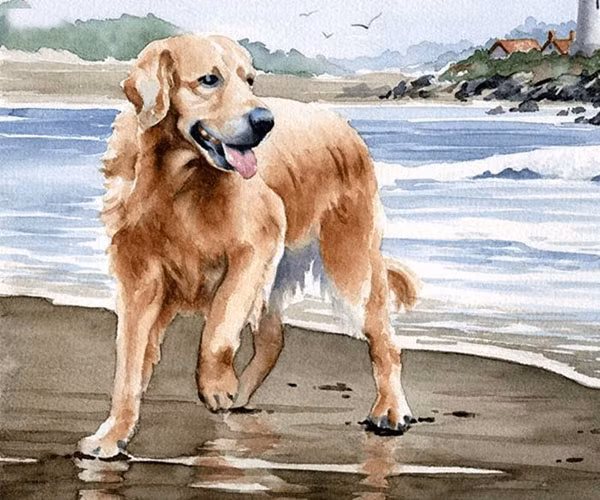 Người tuổi Tuất có cơ hội gia tăng tài sản nhờ những khoản đầu tư dài hạn trước đó mang về khoản lợi nhuận vượt ngoài dự tính. Thêm nữa, khi tham gia những trò chơi may rủi như bốc thăm may mắn, bạn có cơ hội trúng thưởng những phần quà thú vị.