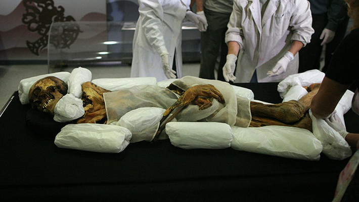 Sau khi được tìm thấy, các chuyên gia đưa xác ướp đến Bảo tàng của Viện Khảo cổ học và Dân tộc học Novosibirsk để thực hiện một loạt kiểm tra, nghiên cứu nhằm giải mã bí ẩn về cuộc sống của "Công chúa Altai".