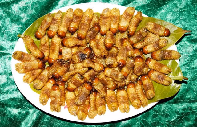 Sùng đất của người Cơ Tu: Sùng đất không chỉ là đặc sản mà còn là "thần dược phòng the” của người Quảng nam. Theo lời lưu truyền thì thời xa xưa, những người đàn ông Cơ Tu giàu có thường lấy năm bảy vợ mà bà nào cũng đẻ “sòn sòn” là nhờ ăn các món làm từ sùng đất. Ảnh: Internet.