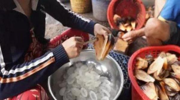 Loại dừa này phát triển nhiều ở khu vực ngập mặn hoặc bán ngập mặn của miền Tây.