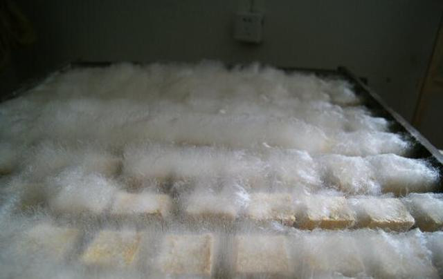 Đậu phụ lông là đặc sản ở thị trấn Huệ Châu, người dân nơi đây có truyền thống làm đậu phụ từ rất lâu đời, chỉ có người Huệ Châu mới biết cách làm ra món đậu phụ lông chuẩn, đúng hương vị.