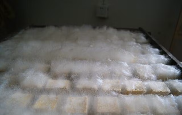 Đậu phụ lông là đặc sản ở thị trấn Huệ Châu, người dân nơi đây có truyền thống làm đậu phụ từ rất lâu đời, chỉ có người Huệ Châu mới biết cách làm ra món đậu phụ lông chuẩn, đúng hương vị.