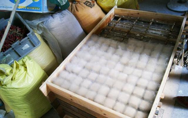 Thông qua quá trình lên men nhân tạo bằng các kỹ thuật truyền thống, có một lớp lông mọc lên trên đậu phụ, đó gọi là protein thực vật được chuyển đổi thành nhiều loại axit amin.