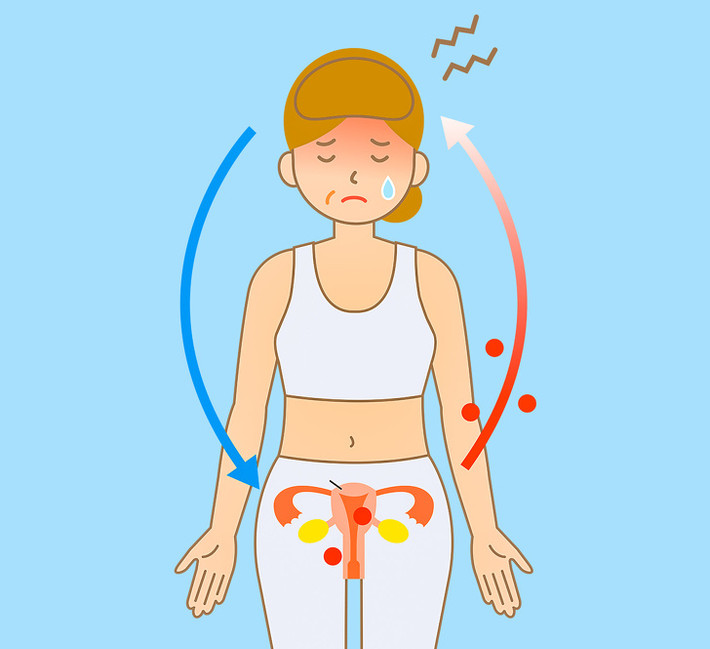 Giảm các cơn “bốc hỏa”: Một nghiên cứu nhỏ tại Phòng khám Mayo ở Rochester (Mỹ) thực hiện trên 29 phụ nữ bị 14 cơn bốc hỏa mỗi tuần trong ít nhất một tháng. Các nhà nghiên cứu phát hiện ra rằng phụ nữ đã cắt giảm một nửa số cơn bốc hỏa hàng ngày và cường độ của các cơn nóng cũng đã giảm 57%.