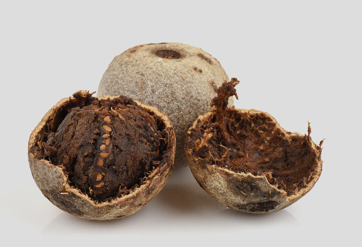 Táo gỗ là loại cây thân gỗ có thể cao đến 9m, quả của nó có kích thước từ 5 đến 9 cm và được đặc trưng bởi bề ngoài cực kỳ cứng.