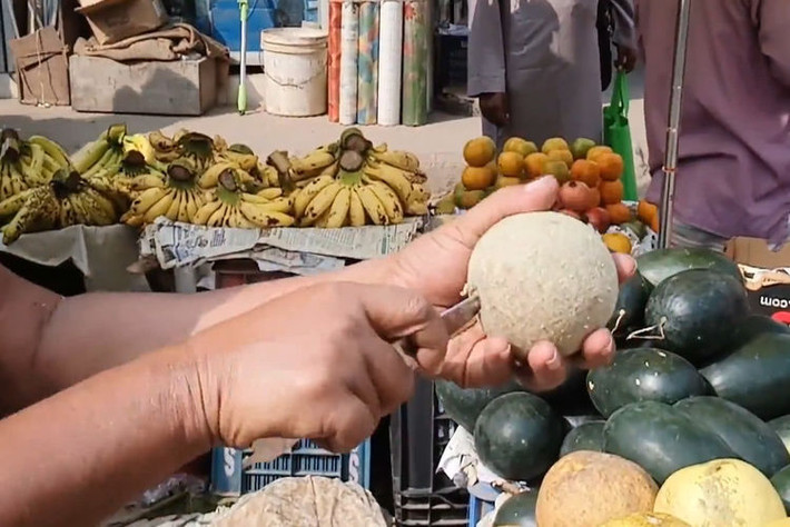 Khi gần chín, thịt của nó sẽ co lại giống như trái cây sấy và có vị chua ngọt thanh.