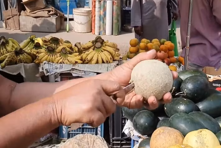 Khi gần chín, thịt của nó sẽ co lại giống như trái cây sấy và có vị chua ngọt thanh.