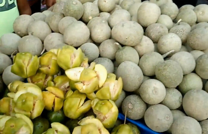 Hình dáng quả táo gỗ tròn, bề mặt sần sùi, khi chưa chín thì thịt bên trong có màu trắng đục, khi bổ ra có thể thấy bên trong đầy thịt nhưng vị của nó rất đắng.