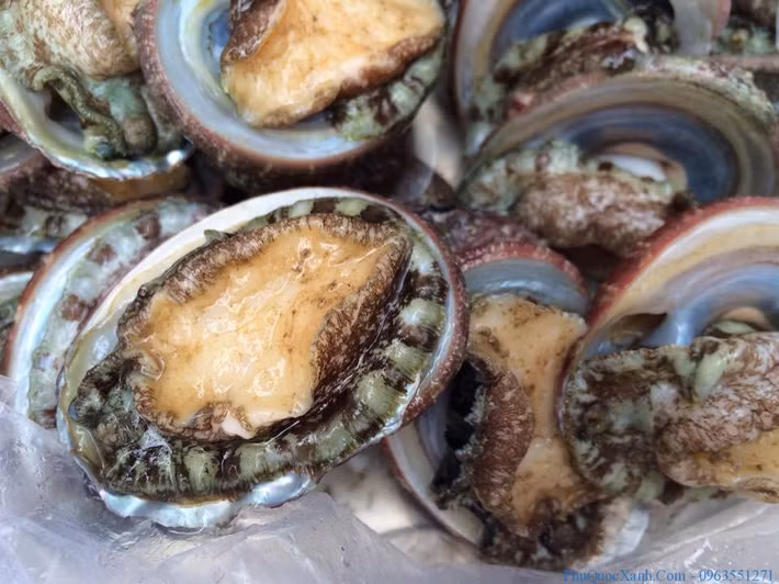 Bào ngư Phú Quốc : Ngoài tên gọi nổi tiếng bào ngư Phú Quốc người địa phương nơi đây còn gọi là hải nhĩ, có thể vì nó giống như cái tai con người. Bào ngư tươi sống có thể chế biến được nhiều món ăn dân dã như luộc, nướng, xào, nấu cháo… Trong đó hấp dẫn nhất là bào ngư nướng lửa than.