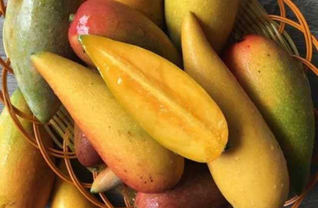 Nó có giá thành rẻ chỉ 10 tệ (khoảng 34.000 đồng)/kg.