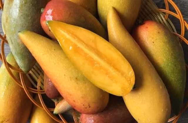 Nó có giá thành rẻ chỉ 10 tệ (khoảng 34.000 đồng)/kg.