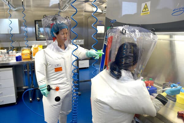 Bà Shi Zhengli cho hay số lượng ca nhiễm COVID-19 mới ngày càng tăng. Điều này sẽ tạo điều kiện cho virus có nhiều cơ hội đột biến và chọn lọc.