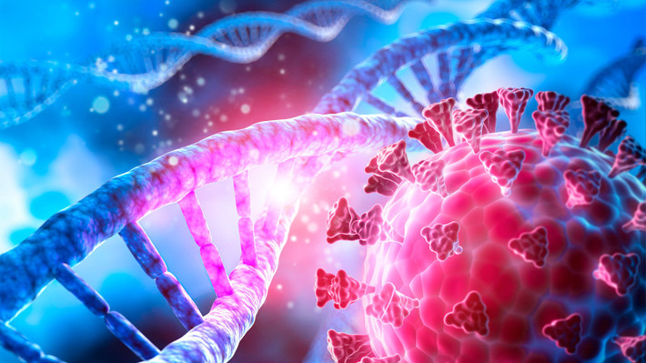 Sau khi có kết quả, họ mới có thể quyết định xem có đưa ra nhiều cảnh báo chính thức khác về biến chủng C.1.2 với công chúng.