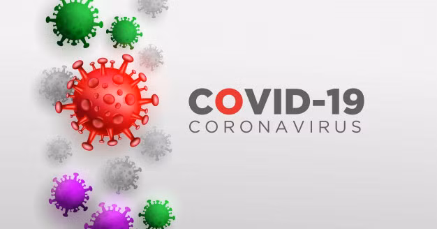 Vào tháng 5 vừa qua, biến chủng C.1.2 được phát hiện lần đầu tiên ở các tỉnh Mpumalanga và Gauteng của Nam Phi. Ngay sau đó, biến chủng mới được phát hiện ở nhiều khu vực khác ở Nam Phi như tỉnh KwaZulu-Natal và Limpopo rồi lan sang Anh, Trung Quốc.