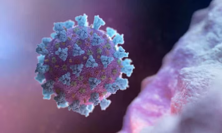 Khoảng 52% đột biến trong C.1.2 đã từng xuất hiện ở các biến chủng VOIs và VOCs.