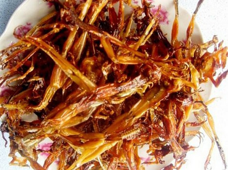 Khô nhái sau khi chiên có thể chấm cùng mắm me hoặc tương ớt hay ớt xanh đều được nhé! Tuy nhiên, món khô nhái này mà hoà quyện cùng mắm me thì hương vị thật tuyệt hảo, chua – cay – mặn – ngọt đủ cả.