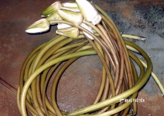 Nếu đặt chân đến An Giang, bạn phải thử món gỏi bông súng vừa ngon vừa lạ miệng. Món ăn này đặc biệt kích thích vị giác khi được trộn với tôm, thịt, bánh phồng tôm.