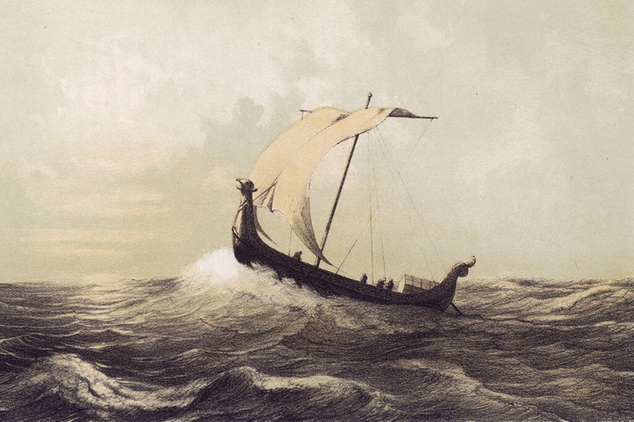 Một số chuyên gia cho rằng người Viking có nước da trắng ửng đỏ và mái tóc vàng hoặc đỏ của người thuộc bán đảo Scandinavia ở Bắc Âu hiện đại.