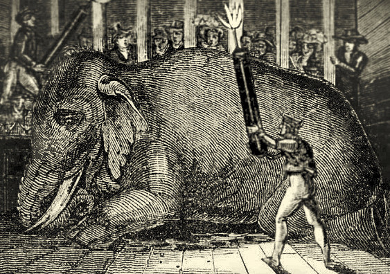 Tuy nhiên, trong một lần biểu diễn, Eldridge dùng chiếc gậy trên chọc vào tai của con voi Mary khi nó đang ăn dưa hấu.