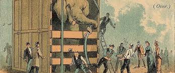 Việc làm của Eldridge khiến con voi Mary trở nên hung hăng. Nó dùng vòi cuốn Eldridge rồi ném người quản tượng này ra xa.