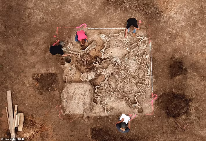 Trong cuộc khai quật ở Sachsen-Anhalt, gần Brücken-Hackpfüffel, Đức, các nhà khảo cổ phát hiện một ngôi mộ cổ 1.500 tuổi.