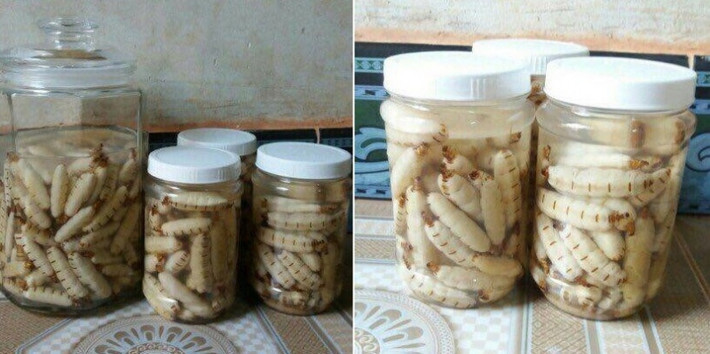 Ngoài đem chế biến thành các món ăn xào nấu, mối chúa còn được đem ngâm rượu.