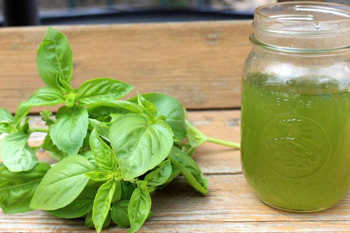 Húng quế là một thành phần nổi bật trong lịch sử của y học Ấn Độ. Với đặc tính kháng khuẩn, kháng vi-rút và kháng nấm, chống viêm, thêm húng quế vào trà có thể giúp giảm lượng đường trong máu, cholesterol và cải thiện hệ thống tiêu hóa.