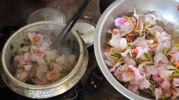 Một trong những món ăn từ hoa rừng cực hấp dẫn là xôi hoa ban (ban đồ): Người ta thường lựa hoa ban mới nở, hoặc lá bánh tẻ, rửa sạch, cho vào chõ xôi chín. Khi ăn chấm với “chẩm chéo” với các gia vị muối, ớt, tỏi và mắc khén. Cả lá và hoa đều có vị bùi, ngọt, thoảng hương thơm dịu, thanh mát. 