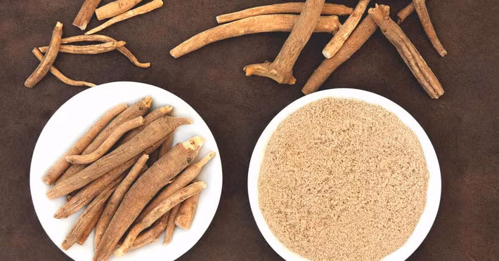 Ashwagandha (cây sâm đất) trong thời cổ đại được dùng để tăng cường miễn dịch, chống lão hóa và rối loạn cương dương. Ngày nay, loài cây này còn được sử dụng để giảm sưng, đau, ho. Người ta thường pha nước được nấu từ của sâm đất với một thìa cà phê mật ong, uống hai lần một ngày.