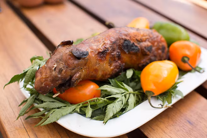 Thịt chuột lang nướng có hàm lượng protein cao và ít cholesterol hơn thịt gà, lợn hay bò. Tại Cusco có cả chương trình nuôi chuột lang làm thực phẩm cho các bệnh nhân ung thư, vì thịt của chúng tốt cho sức khỏe hơn các loại thịt khác.