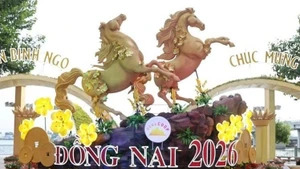 Rực rỡ Đường hoa ven sông Đồng Nai mừng Xuân Bính Ngọ 2026