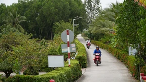 Chỉ định thầu tại xã Trí Phải: Tiết kiệm 5,07% và dấu ấn Gia Thịnh Phát