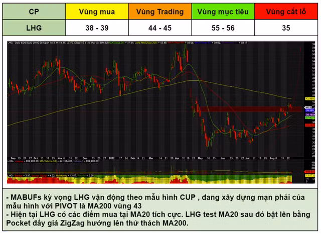 Long Hau dat tham vong mo rong nha xuong xay san, gia muc tieu 56.500 dong-Hinh-2