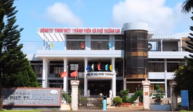 Nghi ngo co phieu bi thao tung, Ca phe Thang Loi (CFV) co van ban cau cuu