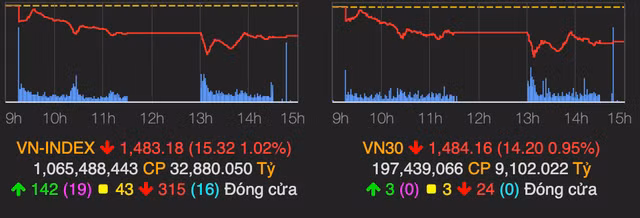 VN-Index rơi mạnh 15 điểm, ngành bán lẻ vẫn giữ được phong độ - Hình 2 VN-Index roi manh 15 diem, nganh ban le van giu duoc phong do-Hinh-2
