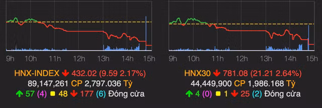 Thi truong tiep tuc dien bien tieu cuc khien VN-Index giam 20 diem-Hinh-2